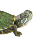 Voltrega - Tortugas